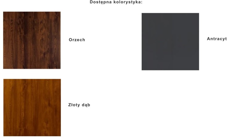 KOLORYSTYKA.jpg