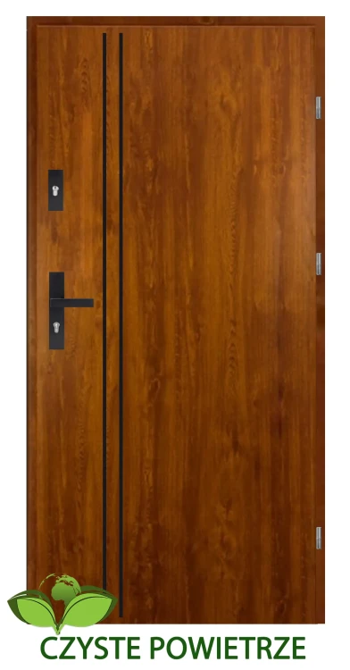 drzwi zewnetrzne czyste powietrze strong alu 2 zloty dab black.webp