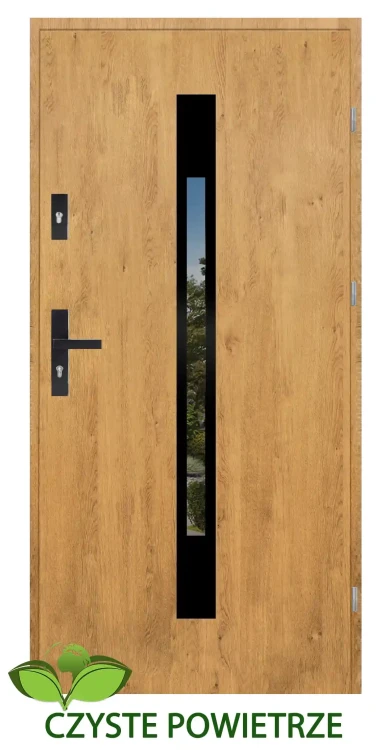 drzwi zewnetrzne czyste powietrze goliat winchester black.webp